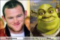 /album/fotogallerij/rooney-jpg/